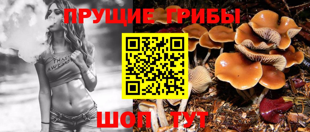 Урай  Галлюциногенные грибы прущие грибы  Вход с VPN 